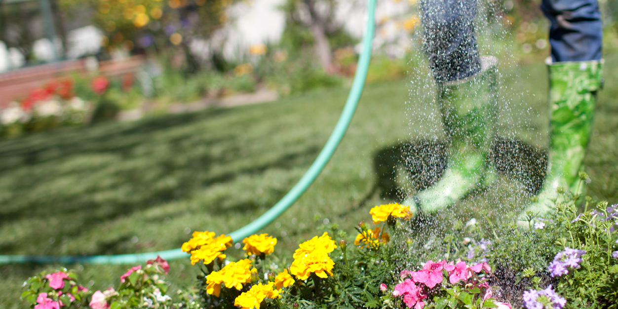 LawnGardenHelp's profile banner image