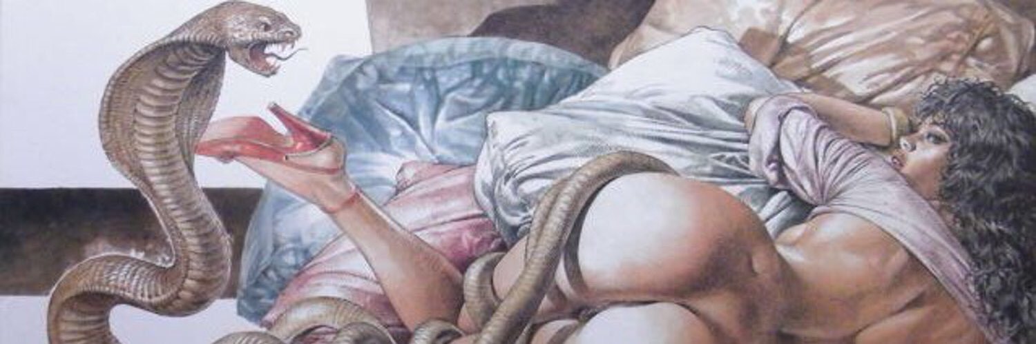 afuckinprick's profile banner image