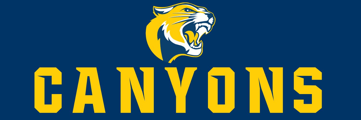 College of the Canyons Women's Basketball banner