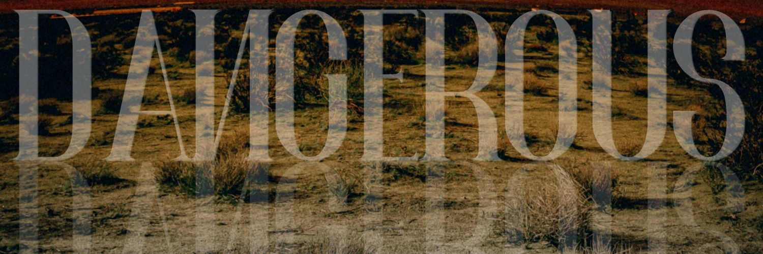 wildhummusic's profile banner image