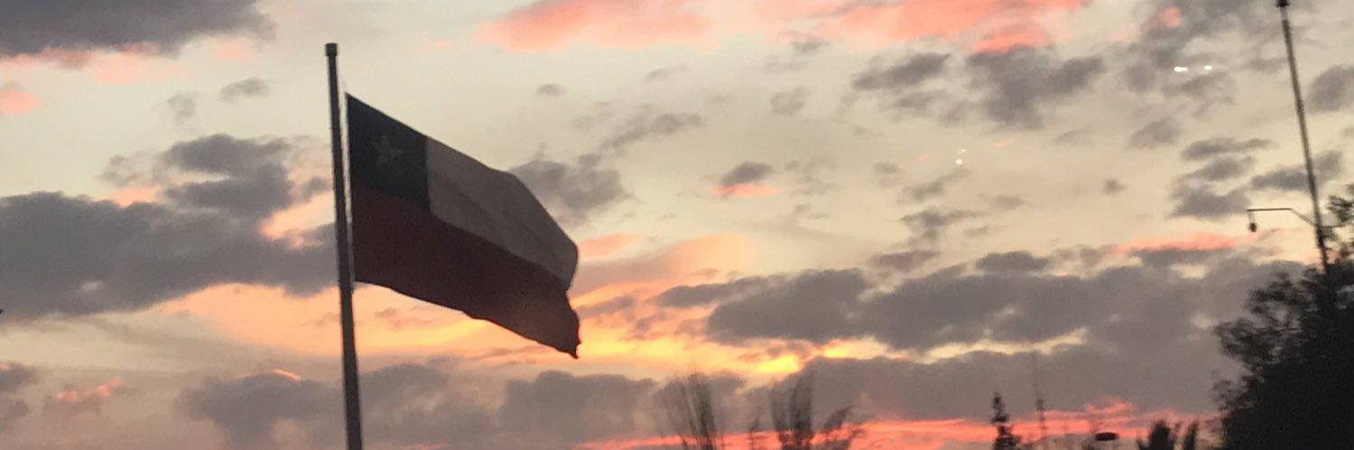 Camila 🇨🇱 banner