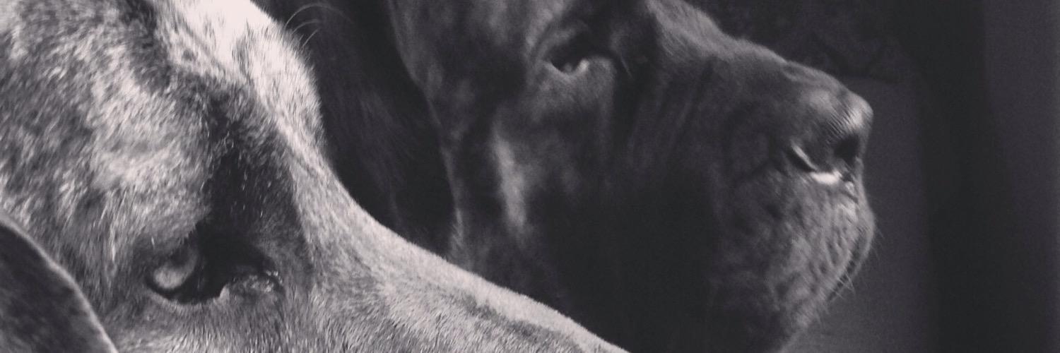 MaireChelsie20's profile banner image