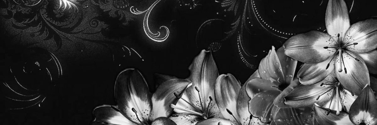 madu banner