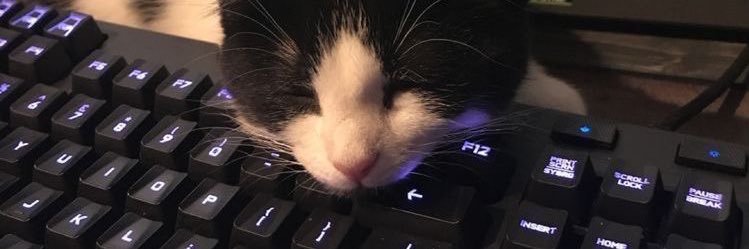 𝑒𝑑𝑢𝑎𝑟𝑑𝑜 𝑟𝑒𝑛𝑎𝑢𝑙𝑡 banner