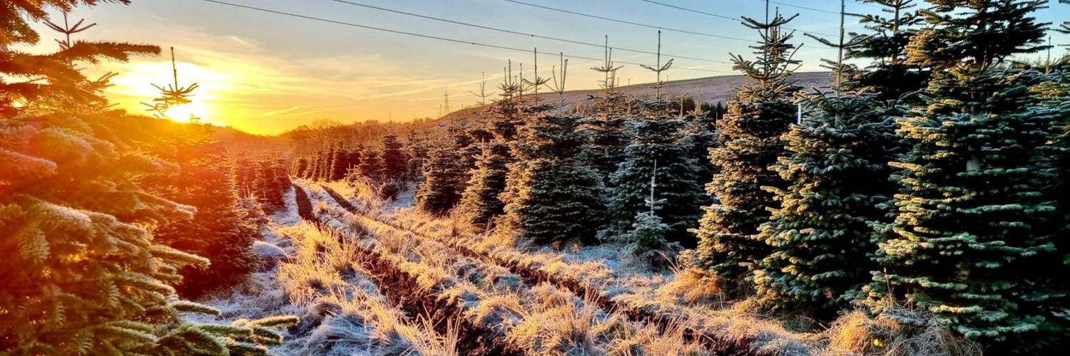 Edenmill Cafe & Soft Play banner