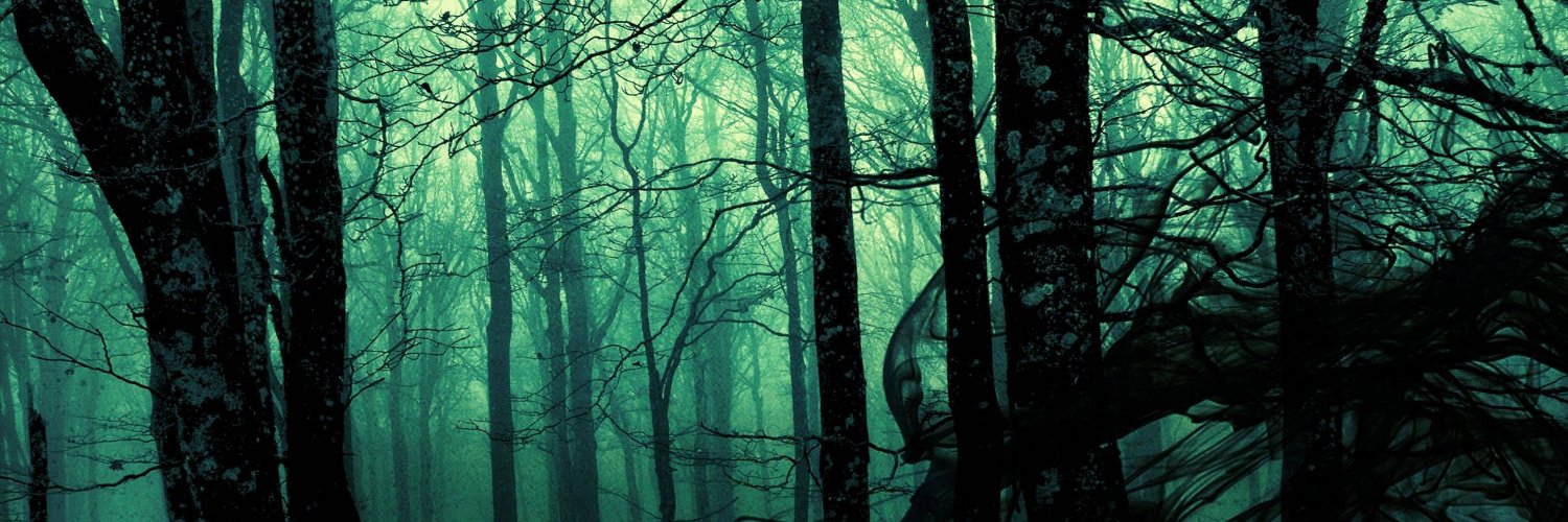 TiraCake's profile banner image