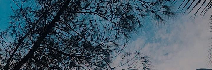 mendexT_'s profile banner image
