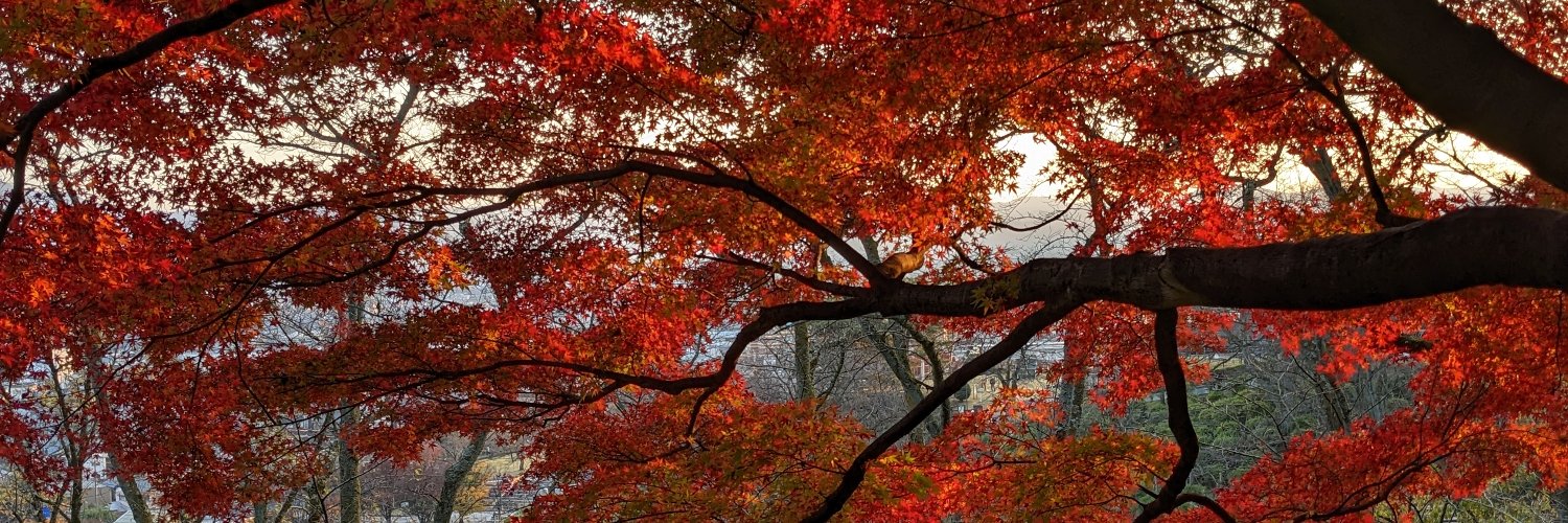 T60986091's profile banner image