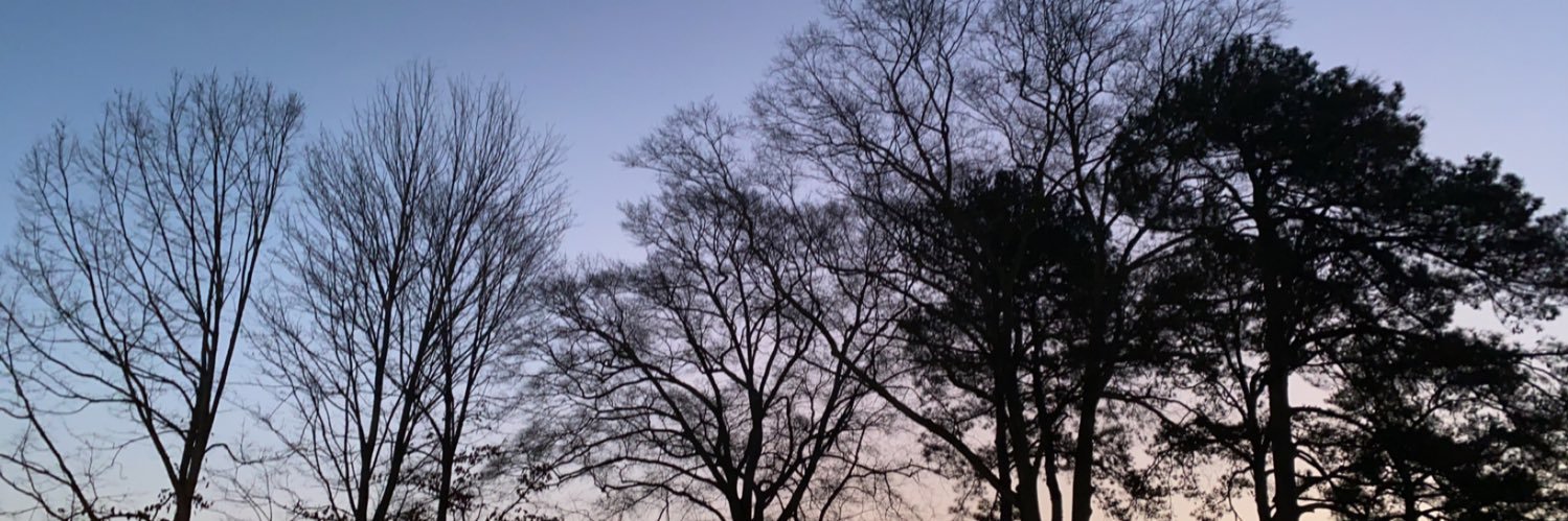 sarkopkin's profile banner image