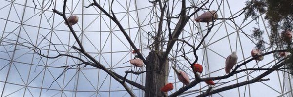 drmilica Profile Banner