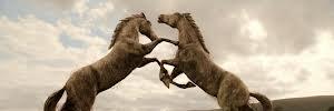 QiqaQuee's profile banner image