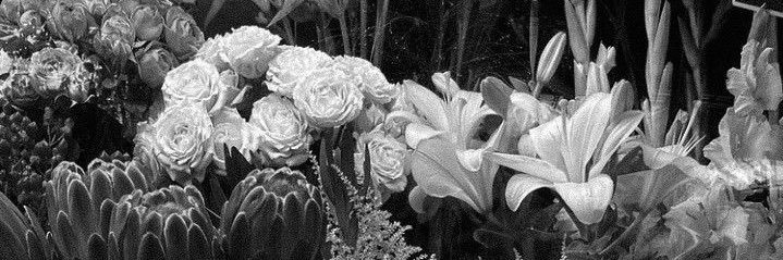 warriwiraaa's profile banner image