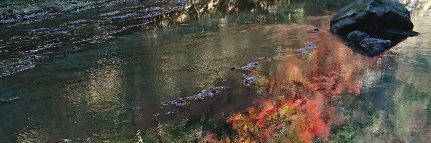 しもちゃん🇵🇸🇯🇵 banner