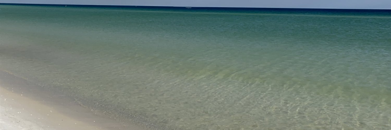 staceyplant's profile banner image