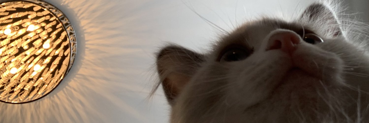 Waskow_22's profile banner image