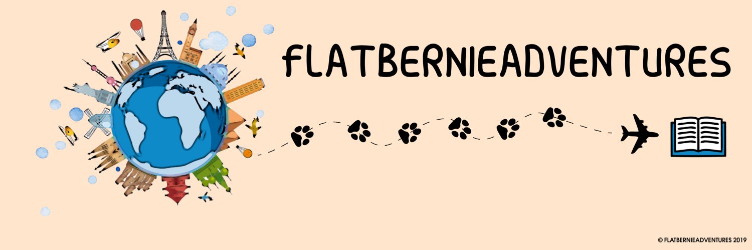 flatbernieadvnt's profile banner image