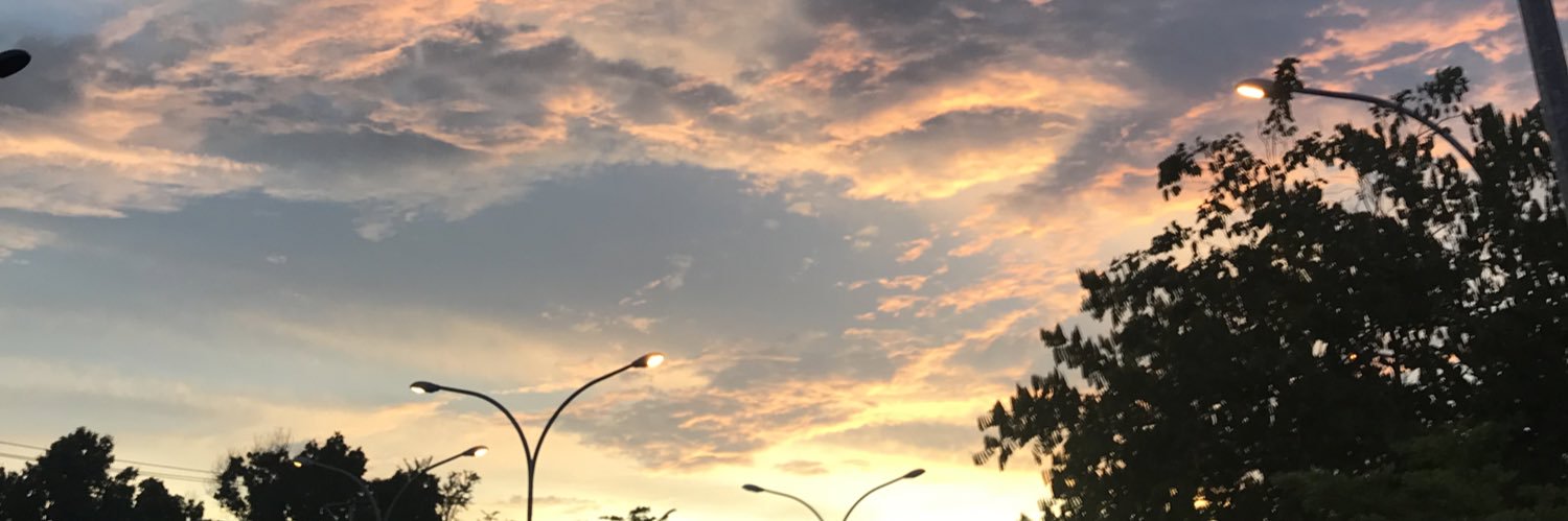 D🌻 banner