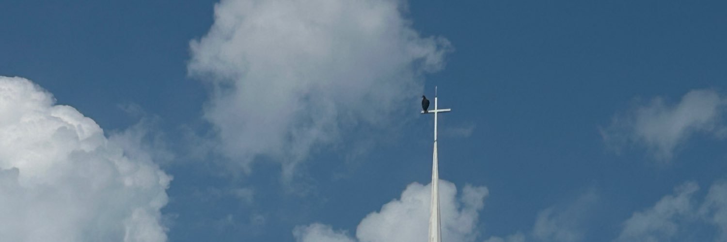 blickywittajicky banner