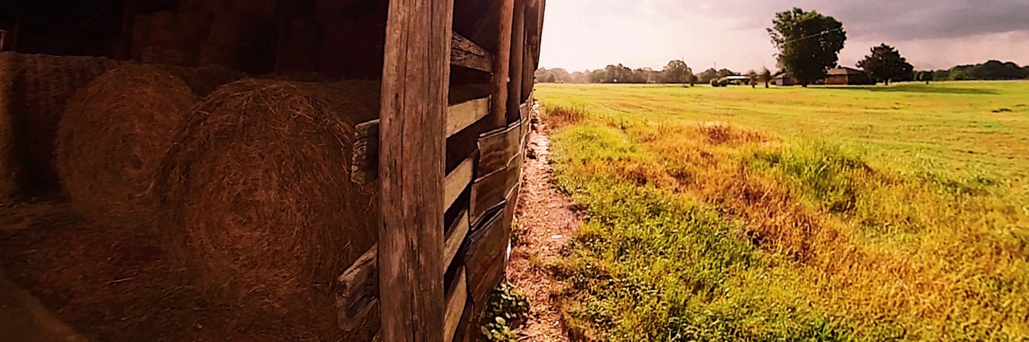 mtthwbrdy's profile banner image