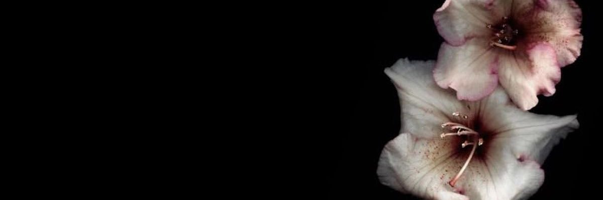 llutiik's profile banner image