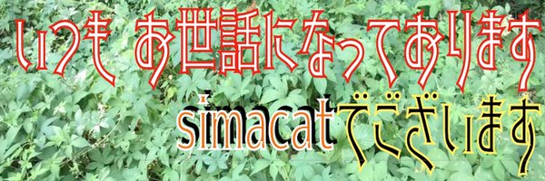 simacat3 Profile Banner
