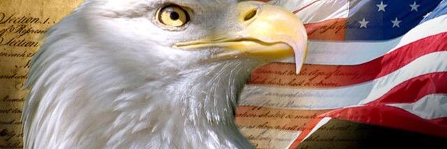 🦋🌷✨Mary Ann✨🌷🦋 banner