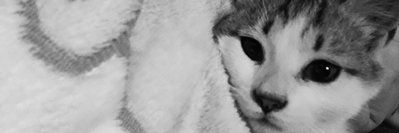 mel4710's profile banner image