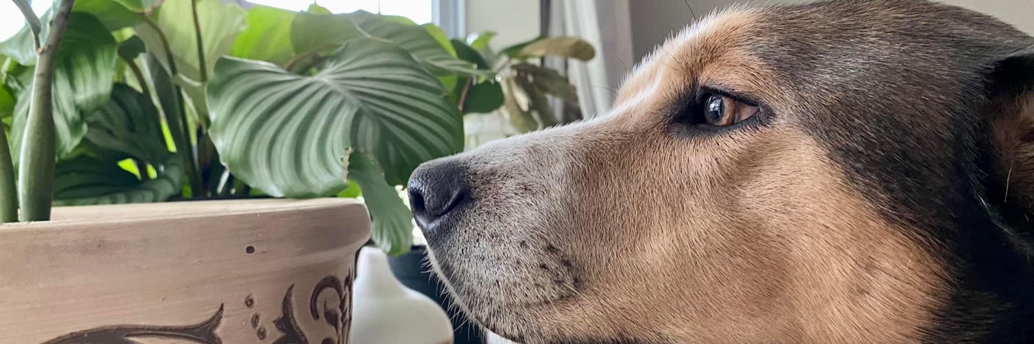 RileyPruitt0's profile banner image