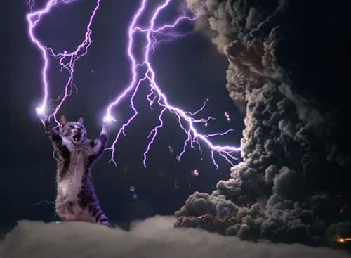 timmy_digital's profile banner image