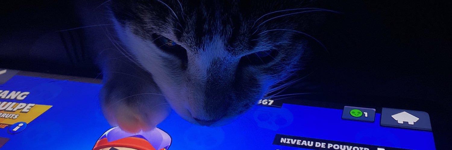 Teekz banner