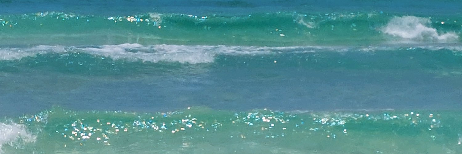 NickyNickytorti's profile banner image