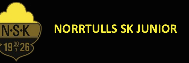 nskjunior's profile banner image