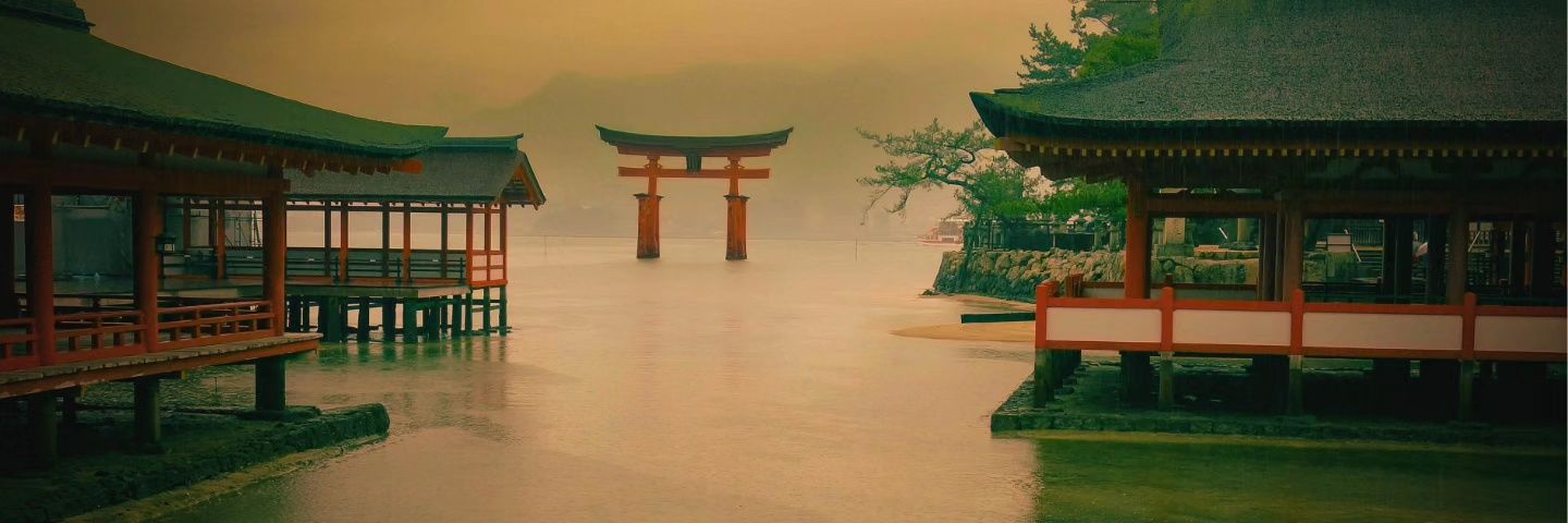 no comment...🐢🔻🇵🇸🇱🇧🇮🇷🇫🇷🇳🇨 banner