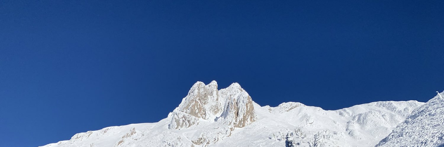 Sebastian Bauer banner