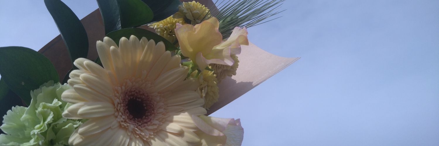 nonchi_od3's profile banner image