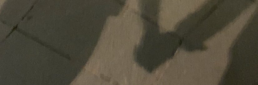 rochin banner