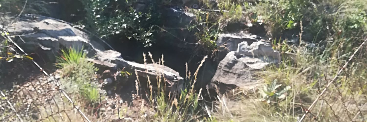 vuyosop's profile banner image