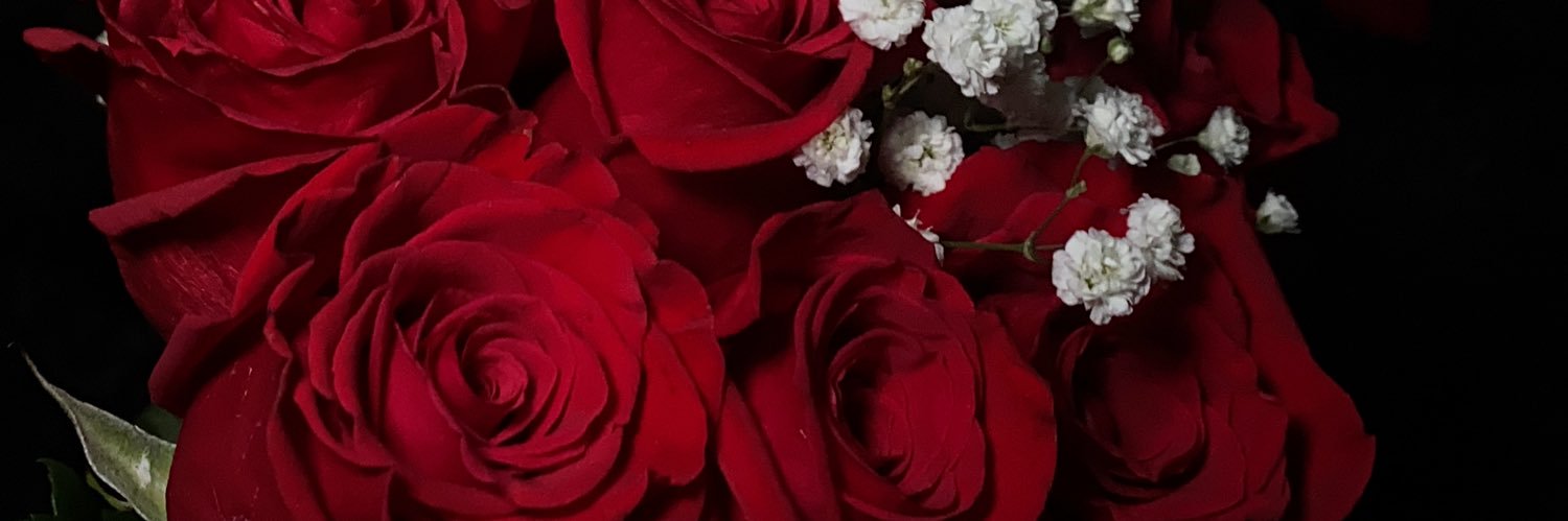 paradisedapree's profile banner image