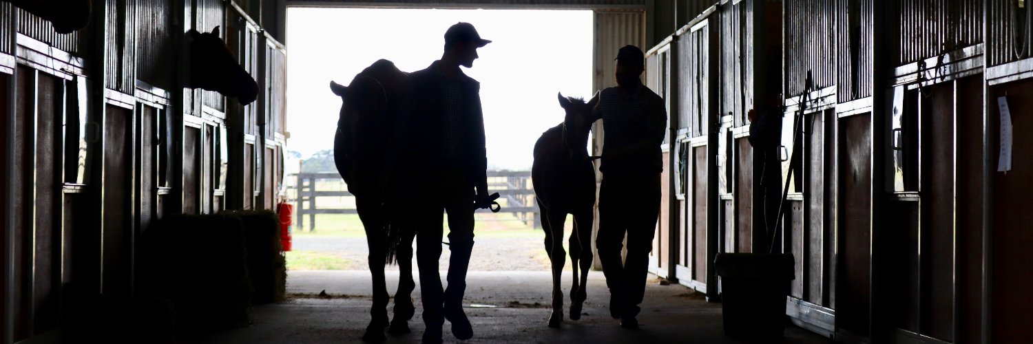 SupremeThoroughbreds banner