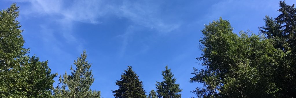 KaelaniRae's profile banner image