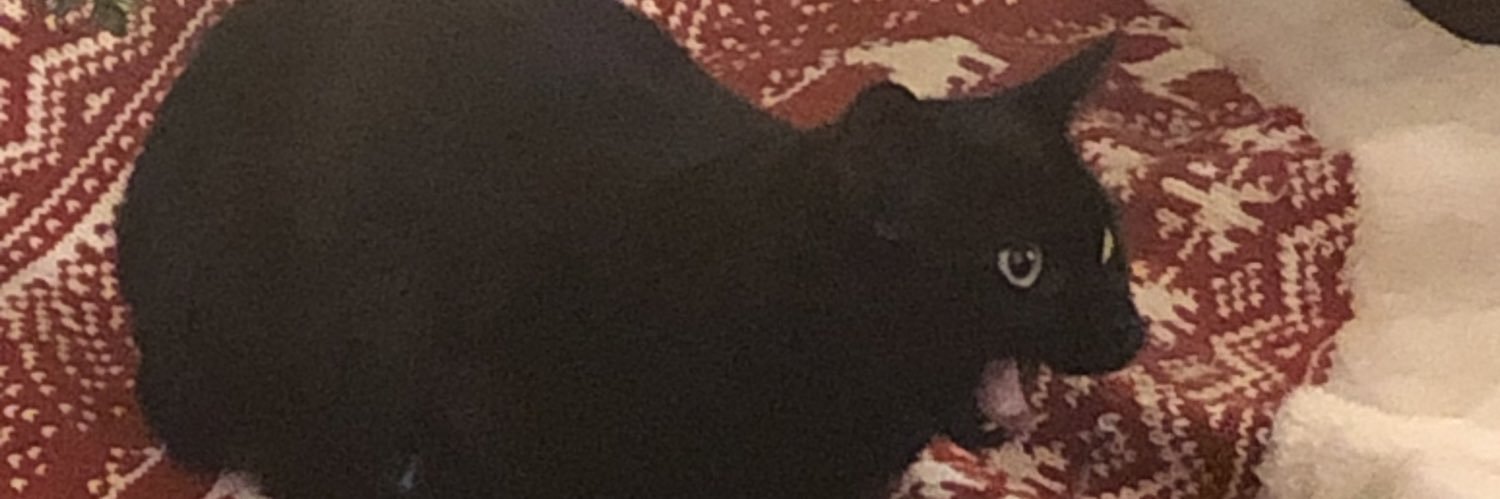DylanRoberts_31's profile banner image