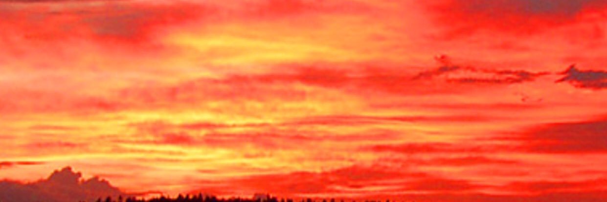 dbdebibrown's profile banner image