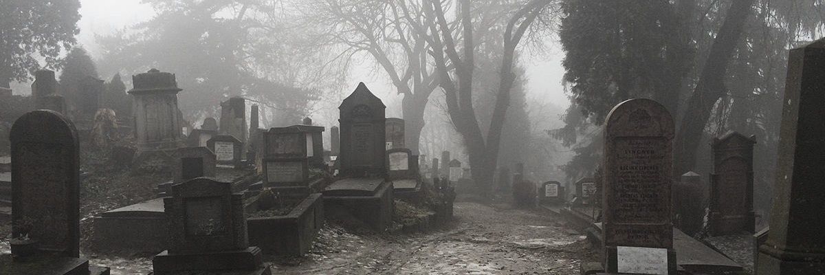 raskolpasa's profile banner image