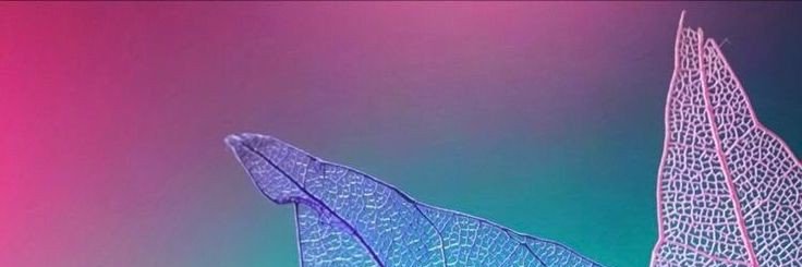 Zl banner