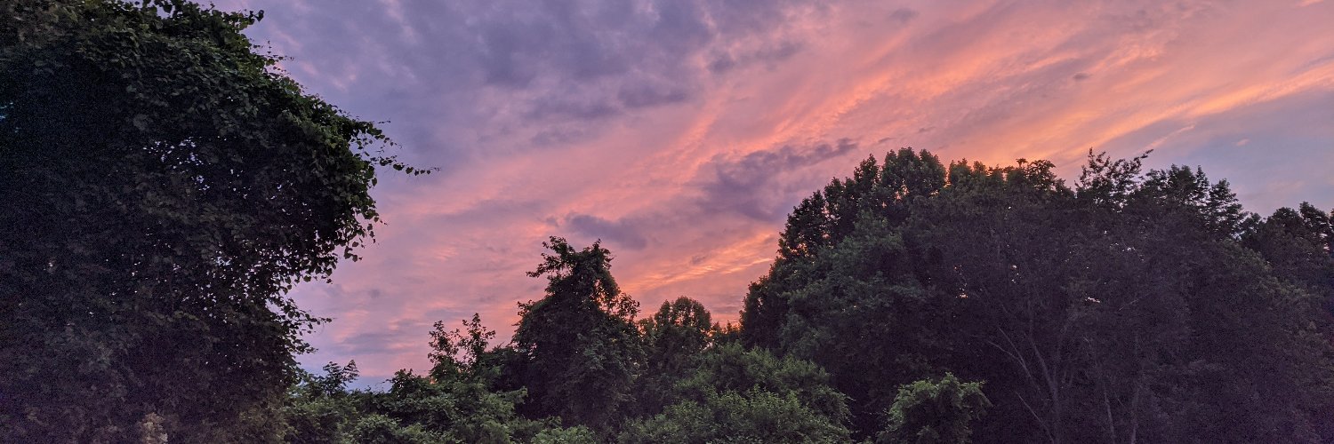 leigh_cat's profile banner image
