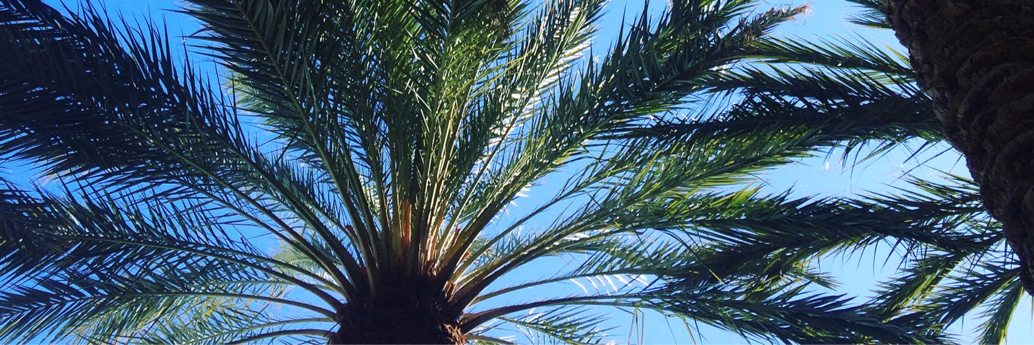 Ohioferry's profile banner image