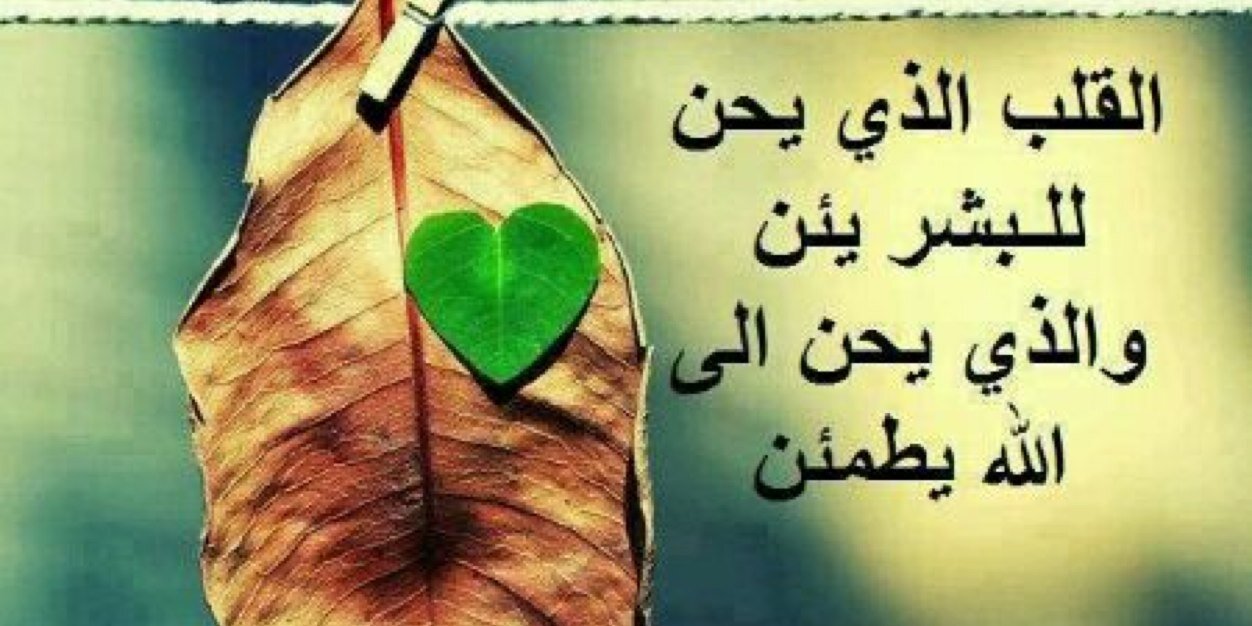 mo7_mmed's profile banner image