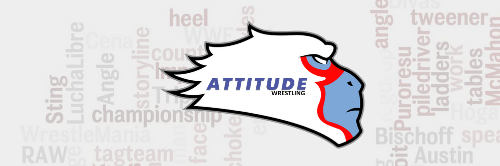 AttitudePL's profile banner image