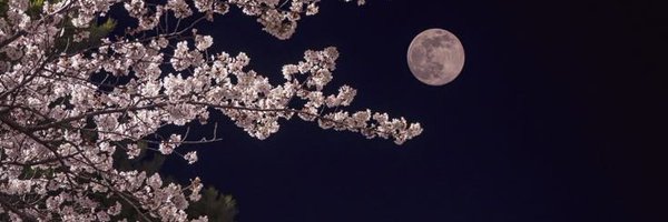 solorfps Profile Banner