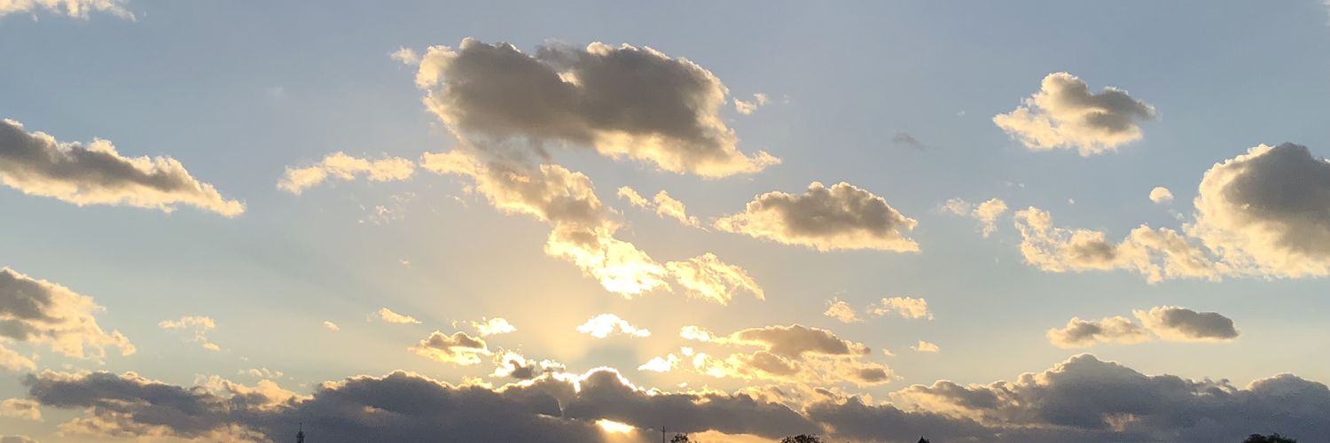 greysmila's profile banner image